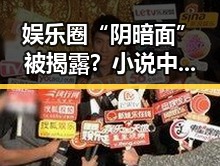 娱乐圈“阴暗面”被揭露?小说中的秘密惊爆网友!