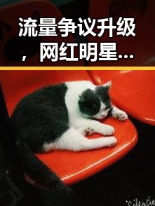 流量争议升级，网红明星“打卡门”事件持续发酵